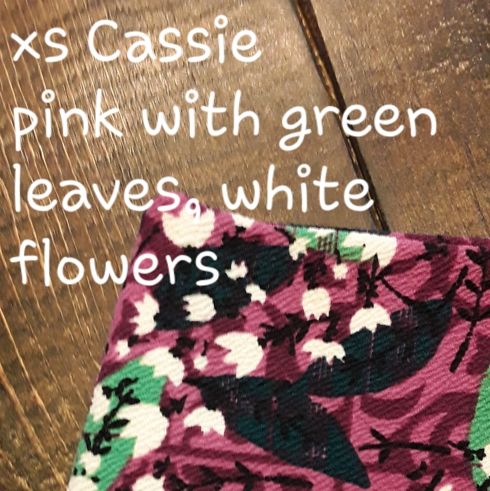 XS Lularoe Cassie